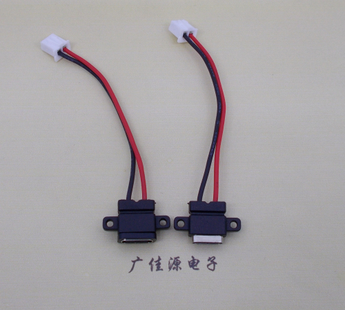 陕西简易type c2p防水母座注塑成型带双螺丝孔焊线式带线带接线端子单充电功能