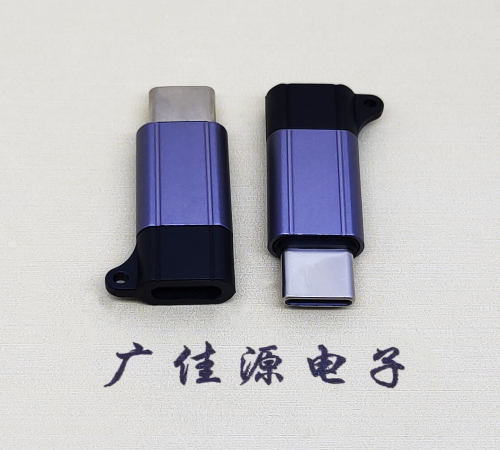 陕西Type-C母转Type-C公 USB3.1 PD100W快冲接口